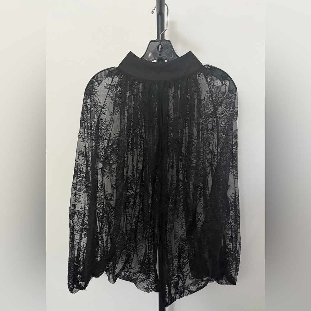 Elegant Black Sheer Lace Blouse